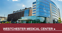 Westchester Medical Center - Button