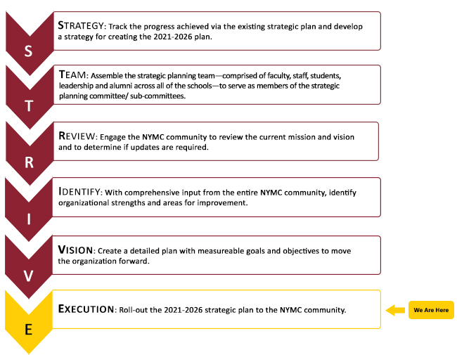 STRIVE Execution Summery Chart