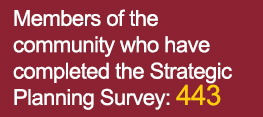 Strategic Survey Count