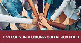 Diversity Inclusion and Social Justice SMHW button 8.30.22cm