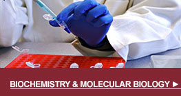Biochemistry & Molecular Bio button