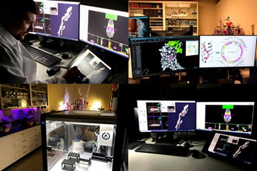 Compiled image of activities in the Garcia Lab at NYMC