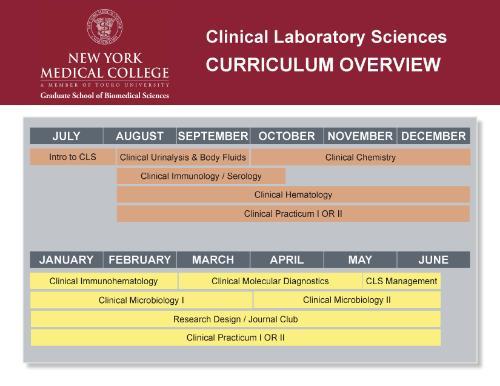 CLS Curriculum Overview 05.30.23