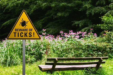 "Beware of Ticks" sign post