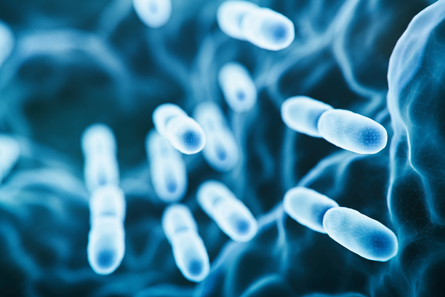 close up view of microbes