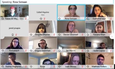 Image from Virtual Meeting of Research Program Participants
