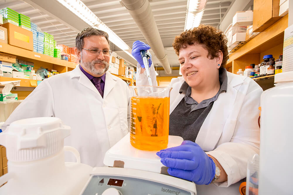 Dr Paul Arnaboldi, left, watching Dr. Dana Mordue, right, in a lab, using a dropper to put something in to a beaker with orange liquid